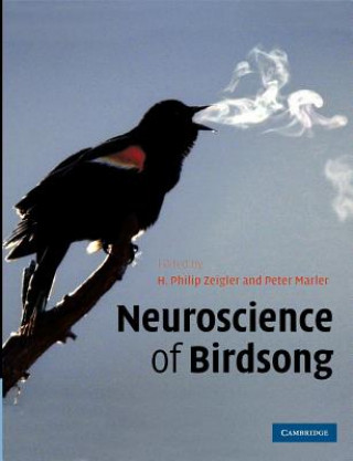 Livre Neuroscience of Birdsong H. Philip  ZeiglerPeter  Marler