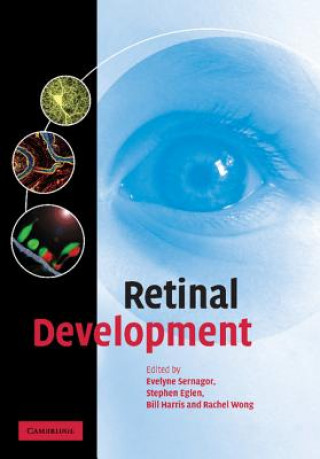 Kniha Retinal Development Evelyne SernagorStephen EglenBill HarrisRachel Wong