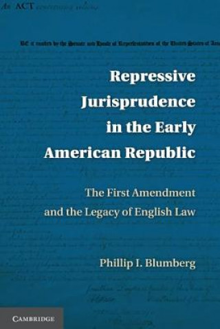 Kniha Repressive Jurisprudence in the Early American Republic Phillip I.  Blumberg