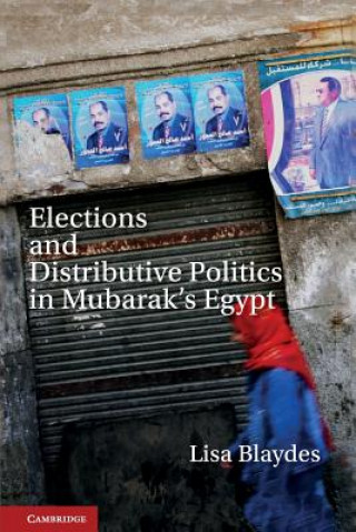 Könyv Elections and Distributive Politics in Mubarak's Egypt Lisa Blaydes