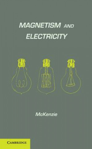 Kniha Magnetism and Electricity A.  E.  E. McKenzie