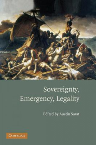 Книга Sovereignty, Emergency, Legality Austin Sarat