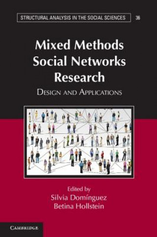 Kniha Mixed Methods Social Networks Research Silvia DomínguezBetina Hollstein
