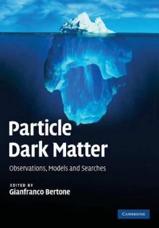 Livre Particle Dark Matter Gianfranco Bertone