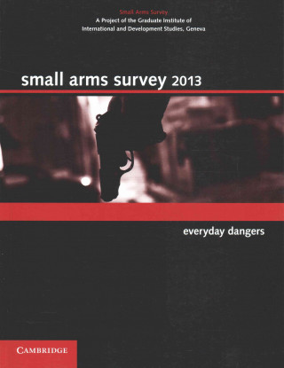 Carte Small Arms Survey 2013 Small Arms Survey