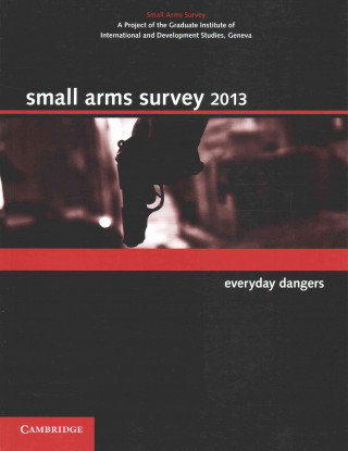 Kniha Small Arms Survey 2013 Small Arms Survey