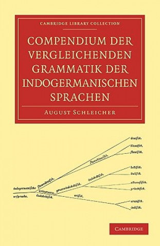 Carte Compendium der vergleichenden Grammatik der indogermanischen Sprachen August Schleicher
