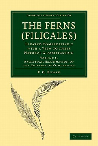 Buch Ferns (Filicales): Volume 1, Analytical Examination of the Criteria of Comparison F. O. Bower