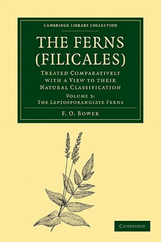 Buch Ferns (Filicales): Volume 3, The Leptosporangiate Ferns F. O. Bower