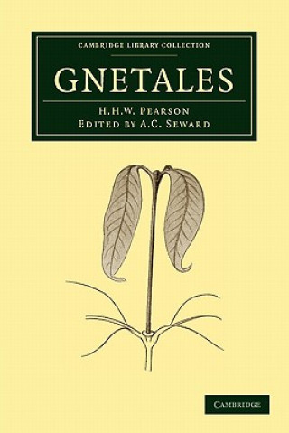 Knjiga Gnetales H. H. W. PearsonA. C. Seward