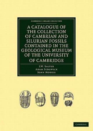 Kniha Catalogue of the Collection of Cambrian and Silurian Fossils Contained in the Geological Museum of the University of Cambridge J. W. SalterAdam SedgwickJohn Morris