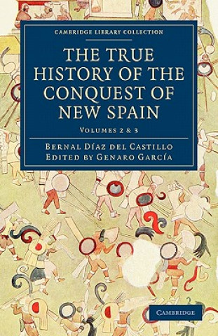 Carte True History of the Conquest of New Spain Bernal Díaz del CastilloGenaro GarcíaAlfred Percival Maudslay