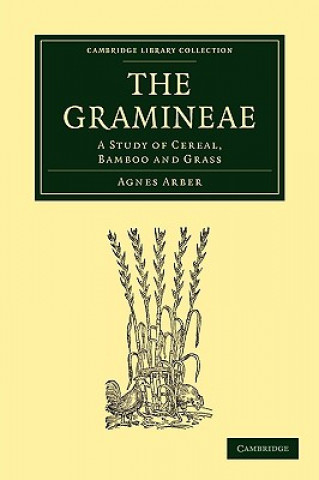 Buch Gramineae Agnes Arber