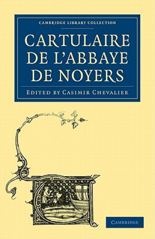 Kniha Cartulaire de l'Abbaye de Noyers Casimir Chevalier