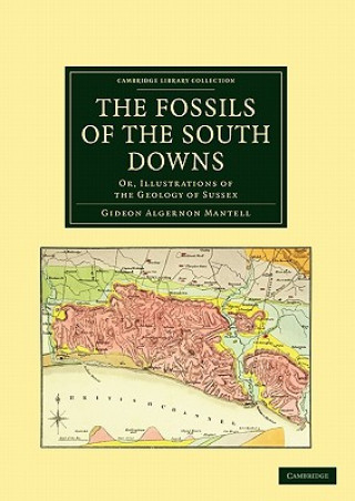 Książka Fossils of the South Downs Gideon Algernon Mantell