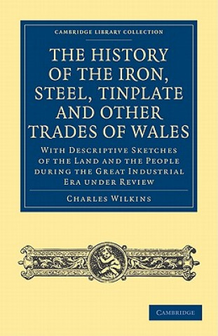 Kniha History of the Iron, Steel, Tinplate and Other Trades of Wales Charles Wilkins