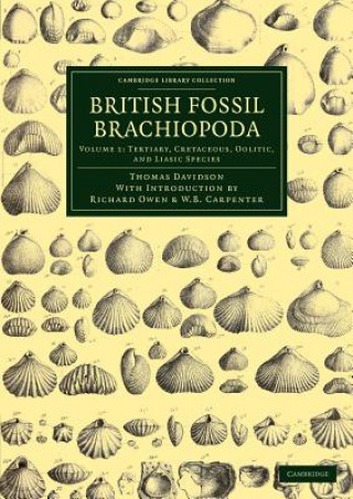 Kniha British Fossil Brachiopoda Thomas DavidsonRichard OwenWilliam Benjamin Carpenter