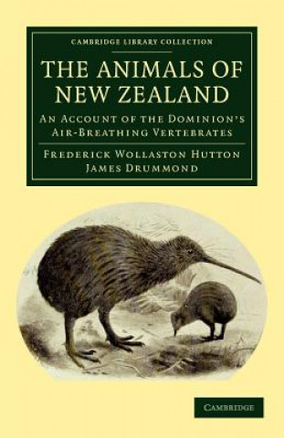 Książka Animals of New Zealand Frederick Wollaston HuttonJames Drummond