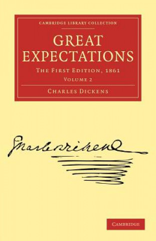 Könyv Great Expectations Charles Dickens