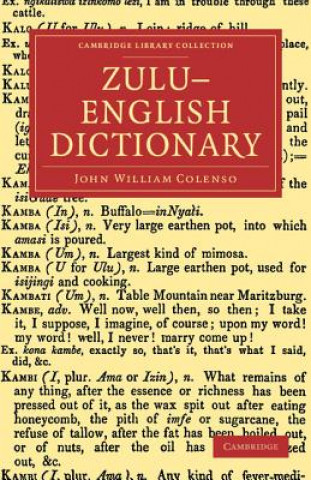 Kniha Zulu-English Dictionary John William Colenso