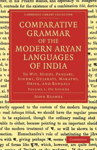 Könyv Comparative Grammar of the Modern Aryan Languages of India John Beames