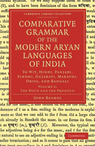 Kniha Comparative Grammar of the Modern Aryan Languages of India John Beames