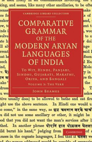 Livre Comparative Grammar of the Modern Aryan Languages of India John Beames