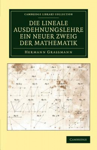 Kniha Die Lineale Ausdehnungslehre ein neuer Zweig der Mathematik Hermann Grassmann