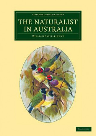 Kniha Naturalist in Australia William Saville-Kent