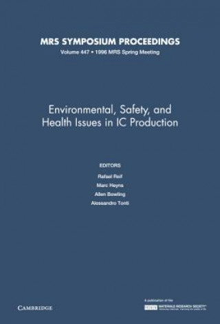 Carte Environmental, Safety, and Health Issues in IC Production: Volume 447 Allen BowlingMarc HeynsRafael ReifAlessandro Tonti