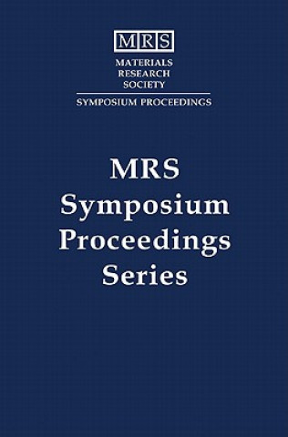 Kniha Electrically Based Microstructural Characterization II: Volume 500 Rosario A. GerhardtMohammed A. AlimS. Ray Taylor