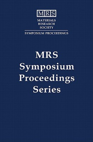 Carte Nondestructive Methods for Materials Characterization: Volume 591 George Y. BaakliniNorbert MeyendorfTheodore E. MatikasRobert S. Gilmore