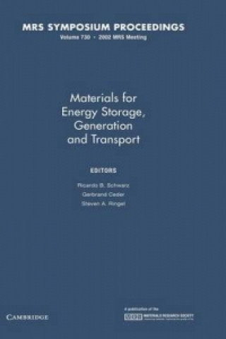 Carte Materials for Energy Storage, Generation and Transport: Volume 730 Ricardo B. SchwarzGerbrand CederSteven A. Ringel