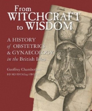 Könyv From Witchcraft to Wisdom Geoffrey Chamberlain