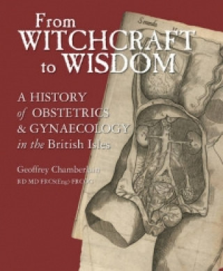 Kniha From Witchcraft to Wisdom Geoffrey Chamberlain