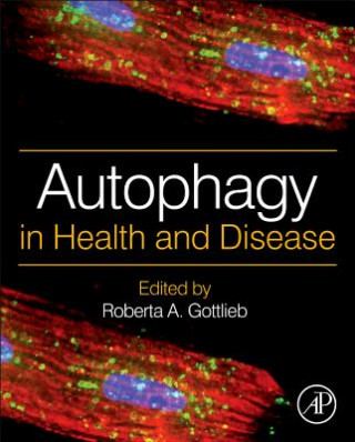 Kniha Autophagy in Health and Disease Roberta A Gottlieb