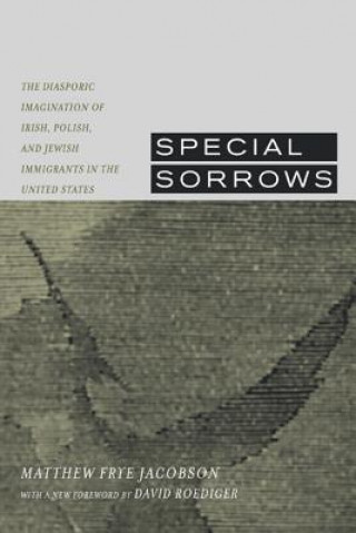 Könyv Special Sorrows Matthew Frye Jacobson