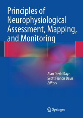Kniha Principles of Neurophysiological Assessment, Mapping, and Monitoring Alan Kaye