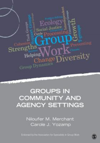 Carte Groups in Community and Agency Settings Niloufer M Merchant