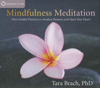 Аудио Mindfulness Meditation Tara Brach