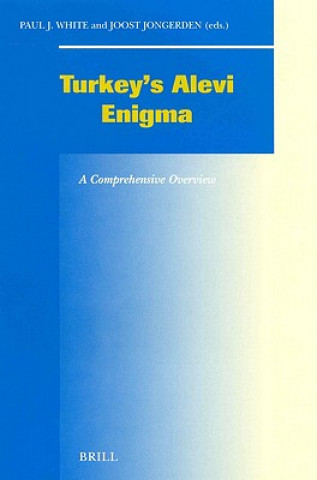 Buch Alevi Enigma Paul J White