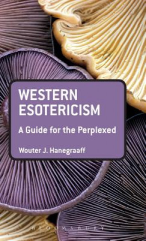 Kniha Western Esotericism: A Guide for the Perplexed Wouter J Hanegraaff
