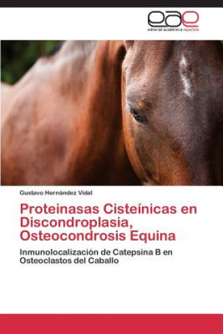 Könyv Proteinasas Cisteinicas en Discondroplasia, Osteocondrosis Equina Gustavo Hernández Vidal