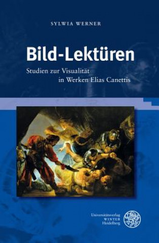 Kniha Bild-Lektüren Sylwia Werner