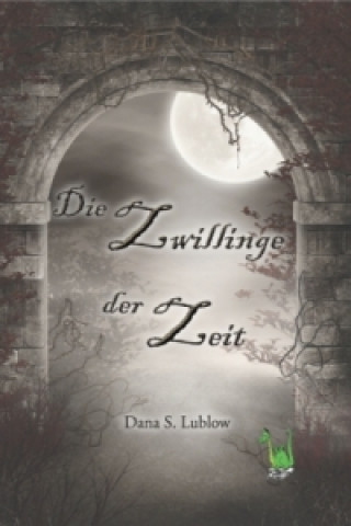 Kniha Zwillinge der Zeit Dana S. Lublow