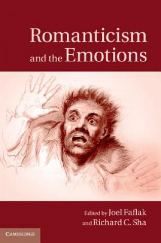 Книга Romanticism and the Emotions Joel Faflak