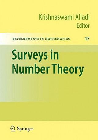 Könyv Surveys in Number Theory Krishnaswami Alladi