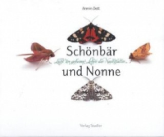 Kniha Schönbär und Nonne Armin Dett