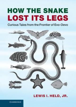 Buch How the Snake Lost its Legs Lewis I. Held