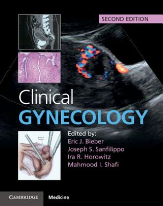 Könyv Clinical Gynecology Eric J. Bieber